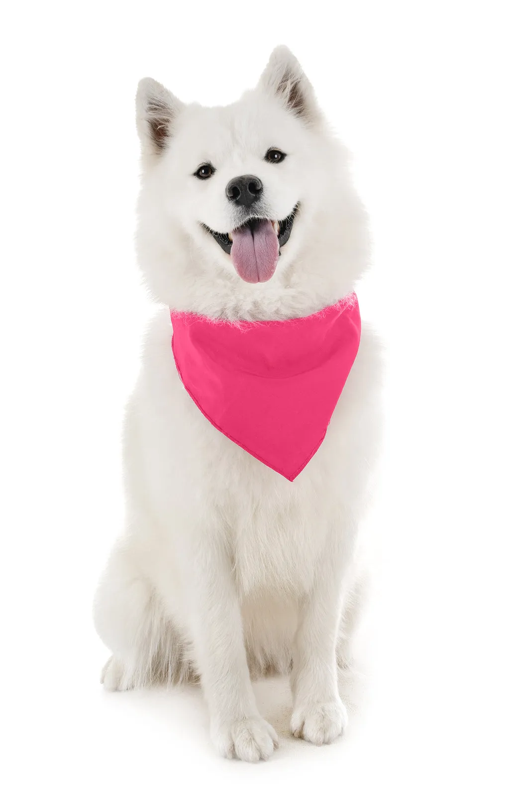 18 Pack Cotton Solid Colors Dog Bandanas XL Oversized