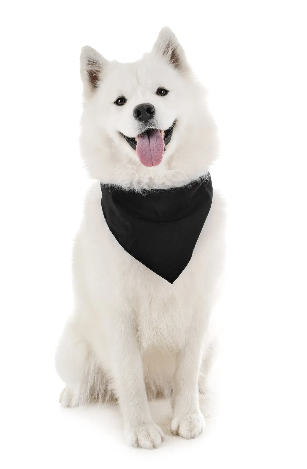 18 Pack Cotton Solid Colors Dog Bandanas XL Oversized