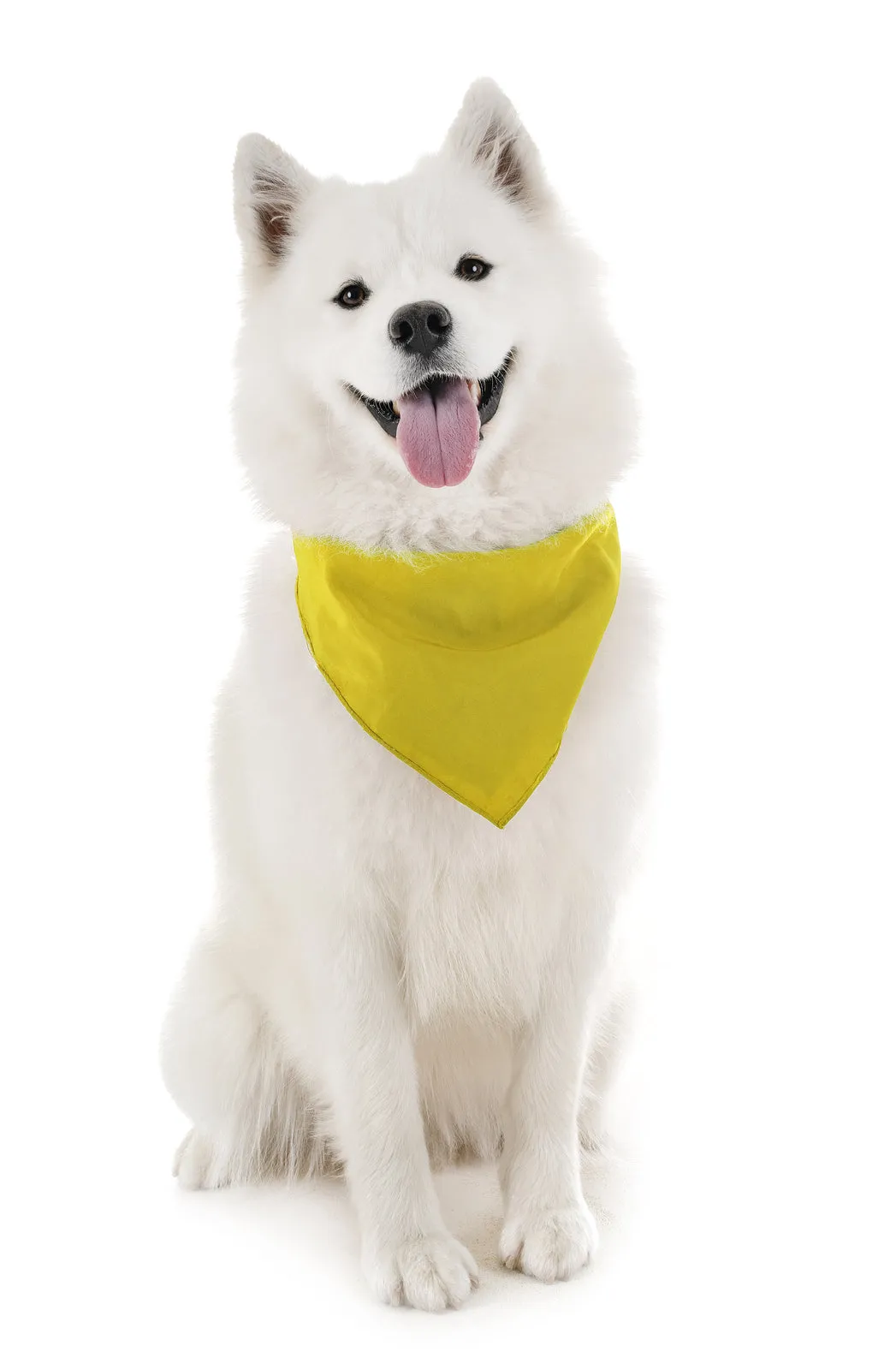 18 Pack Cotton Solid Colors Dog Bandanas XL Oversized