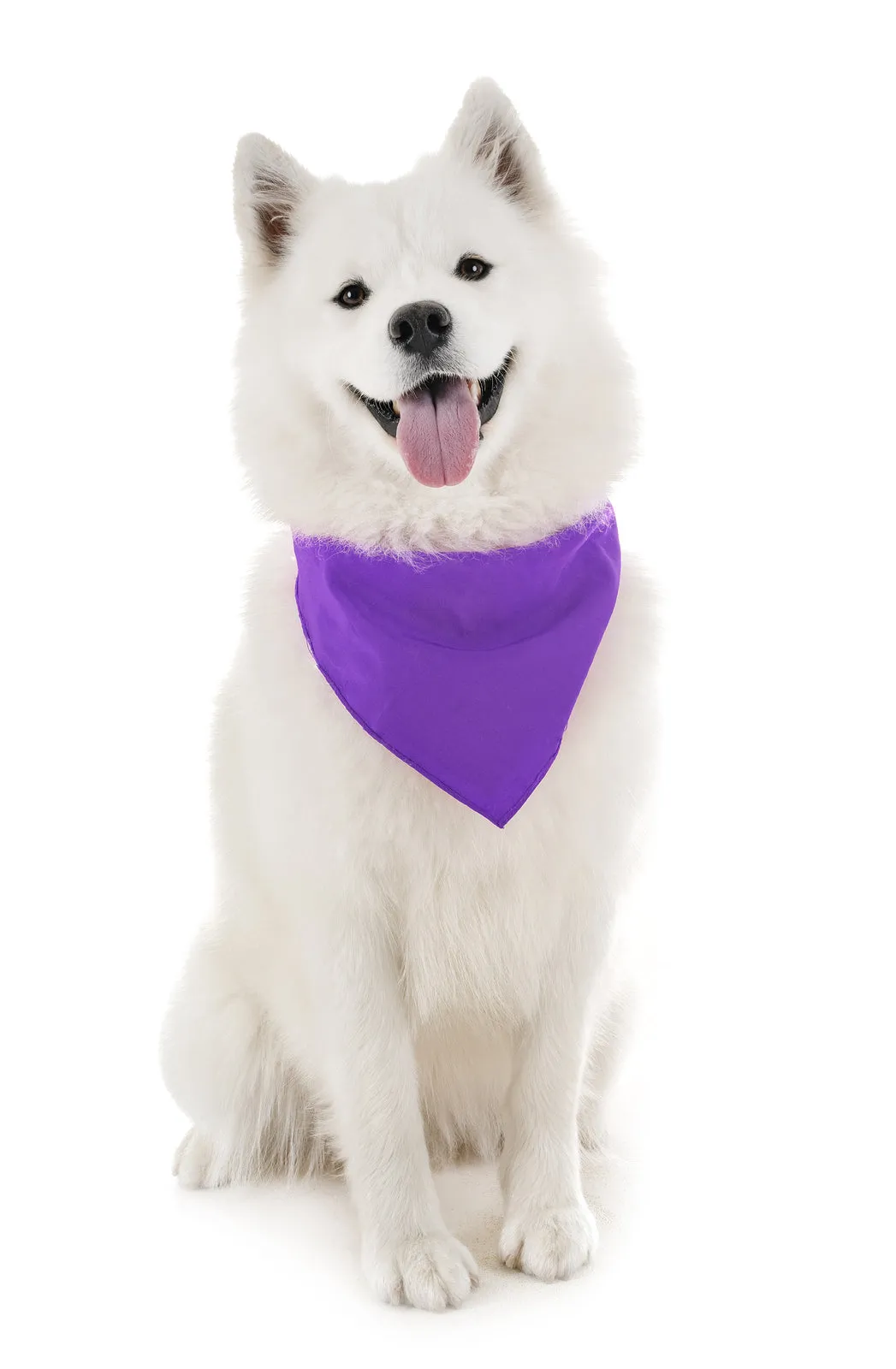 18 Pack Cotton Solid Colors Dog Bandanas XL Oversized