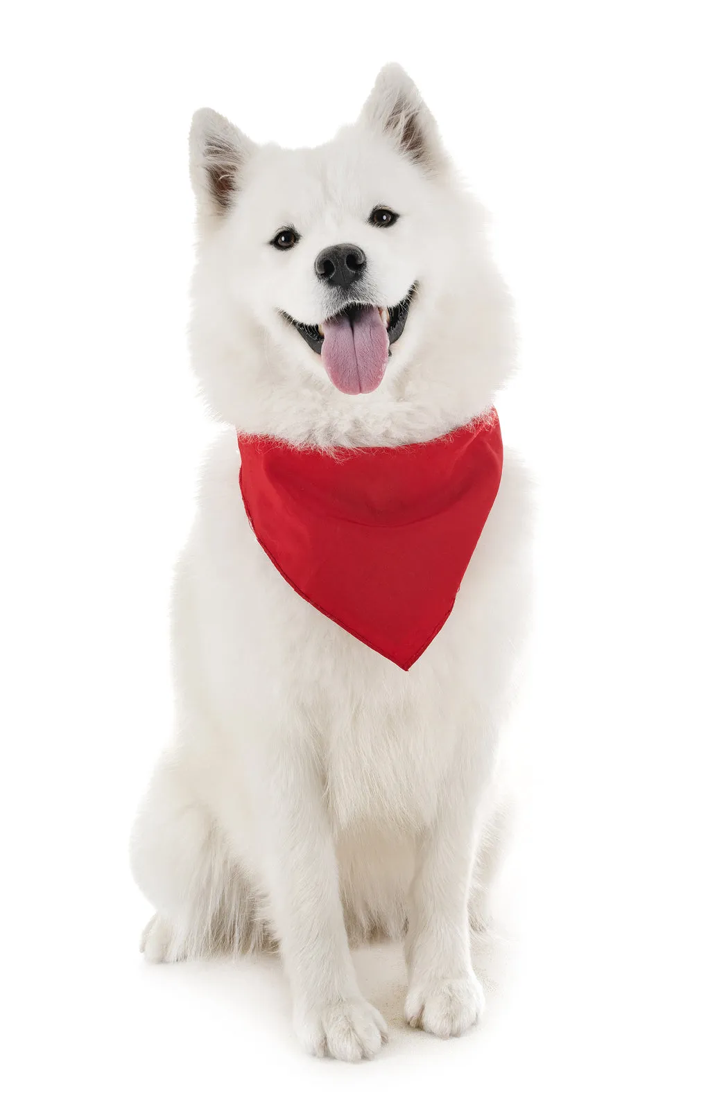 18 Pack Cotton Solid Colors Dog Bandanas XL Oversized