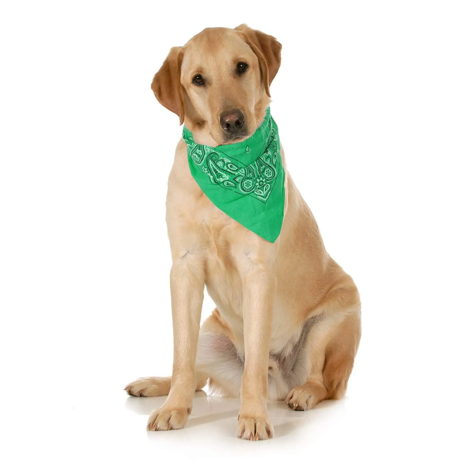 3-Pack Paisley Cotton Dog Scarf Triangle Bibs  - XL and Washable