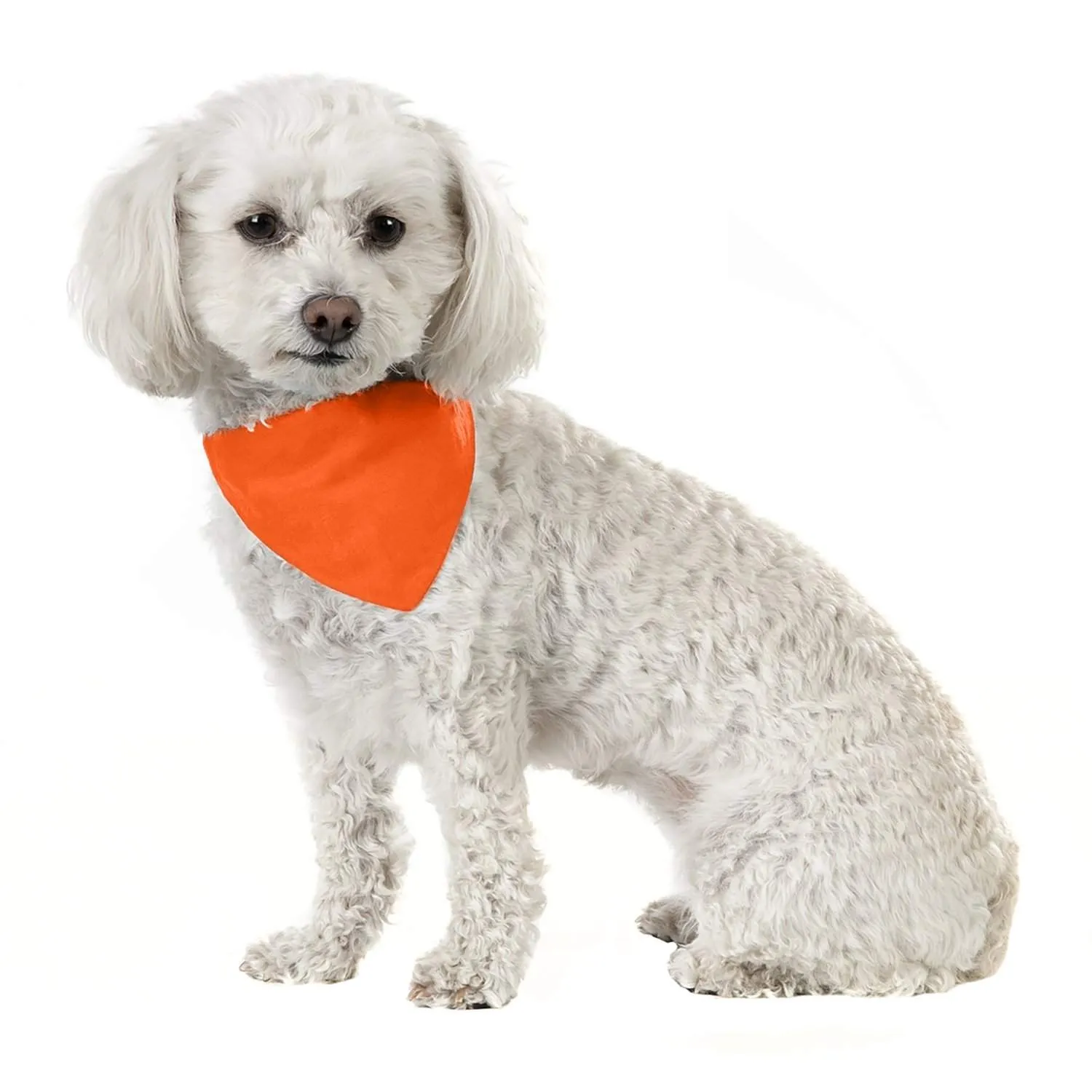 3 Pack Solid Cotton Dog Bandana Triangle Bibs  - Small & Medium Pets