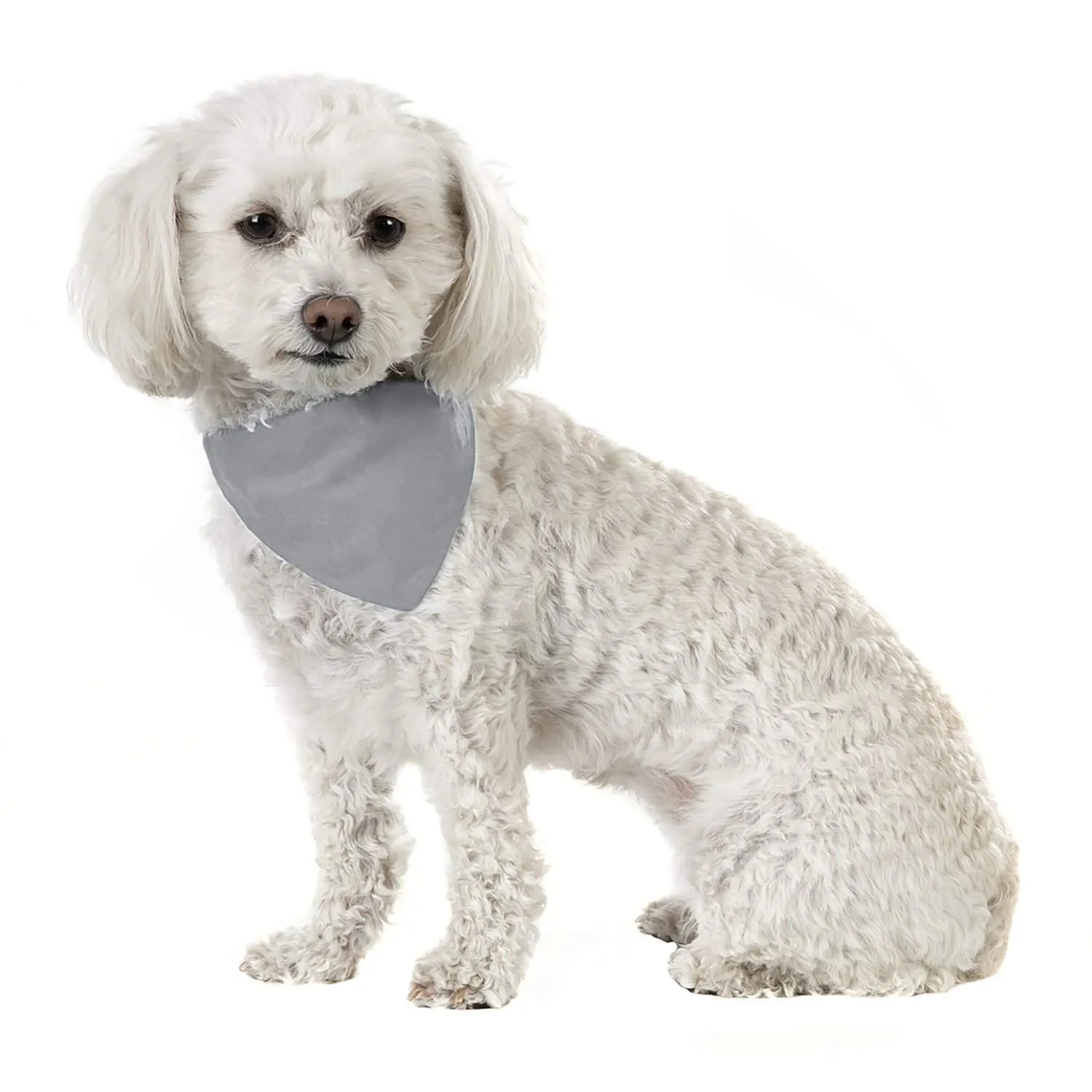 3 Pack Solid Cotton Dog Bandana Triangle Bibs  - Small & Medium Pets