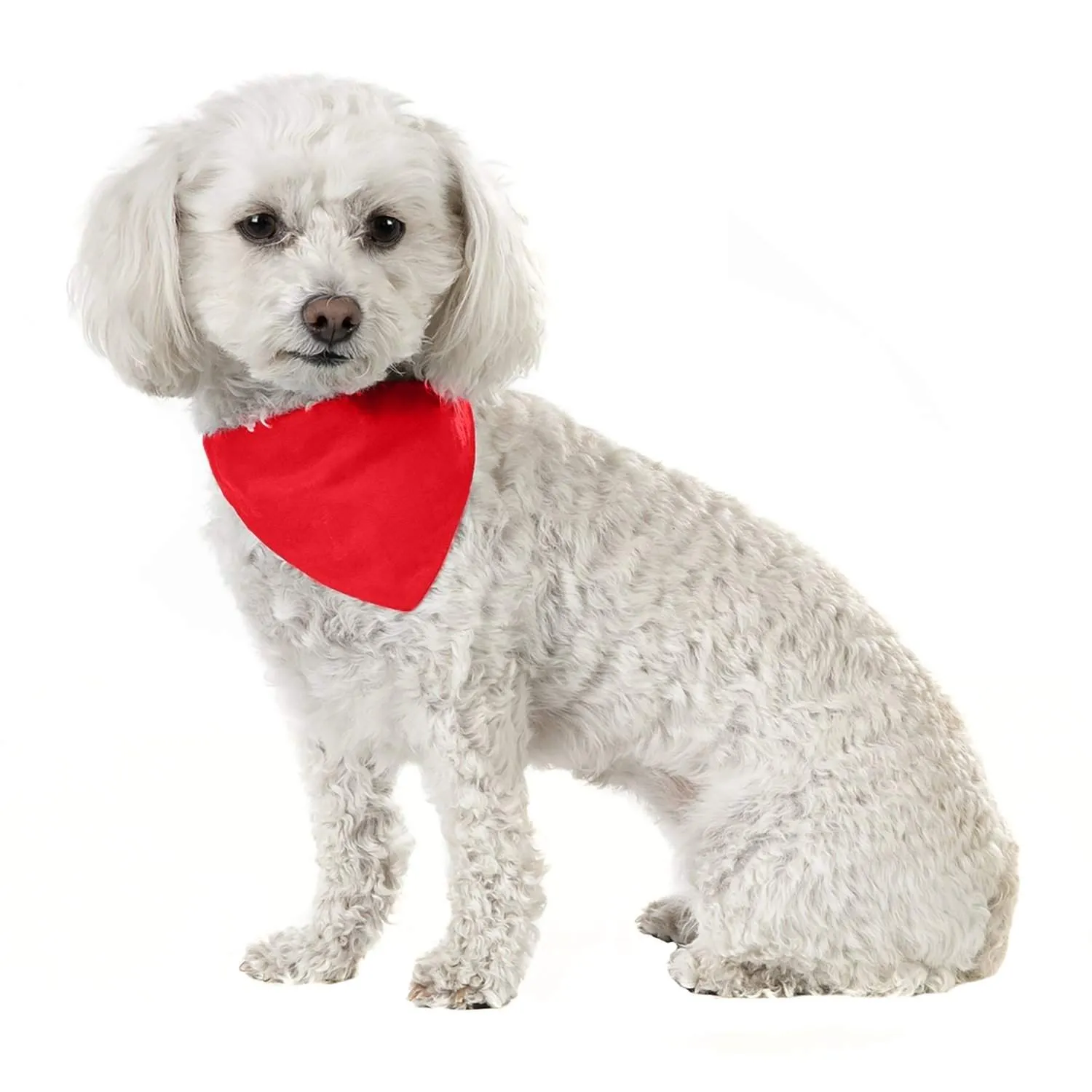 3 Pack Solid Cotton Dog Bandana Triangle Bibs  - Small & Medium Pets
