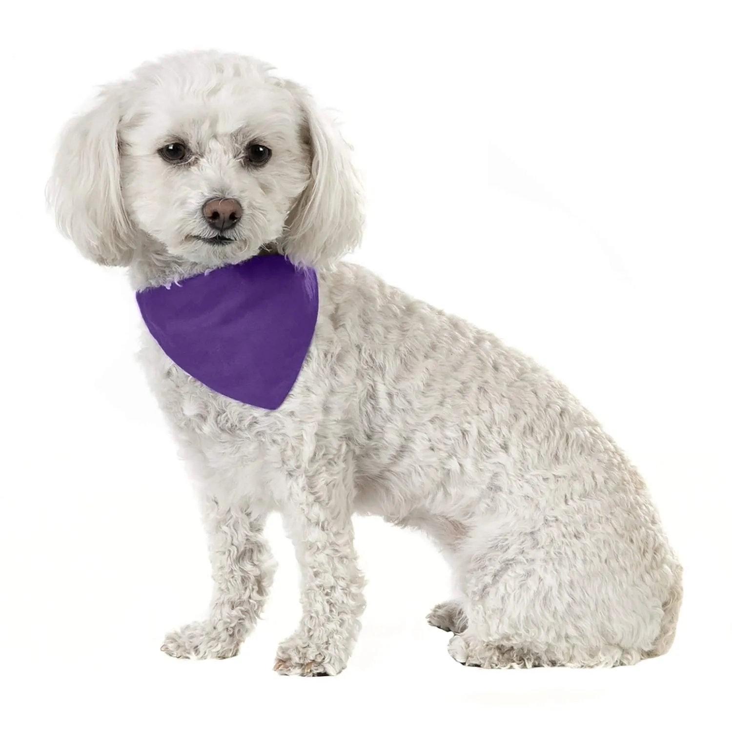 3 Pack Solid Cotton Dog Bandana Triangle Bibs  - Small & Medium Pets
