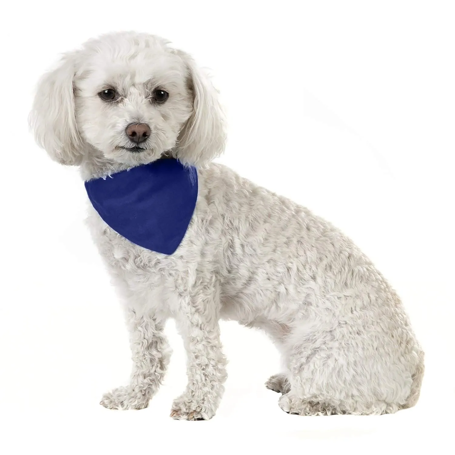 3 Pack Solid Cotton Dog Bandana Triangle Bibs  - Small & Medium Pets