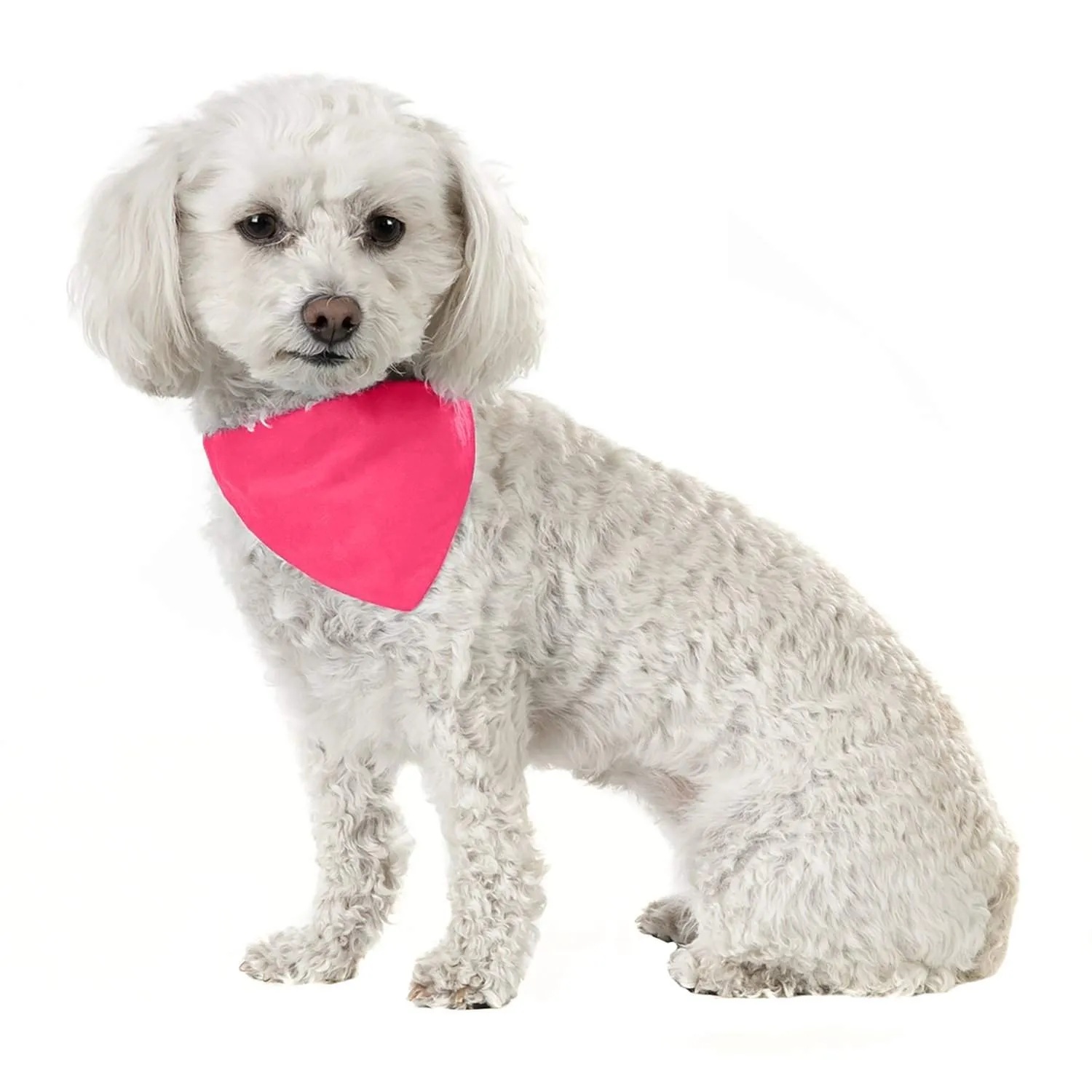 3 Pack Solid Cotton Dog Bandana Triangle Bibs  - Small & Medium Pets