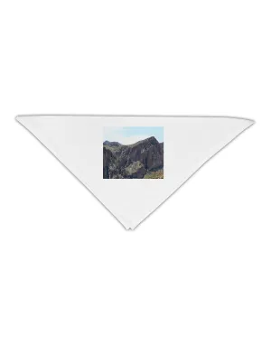 Arizona Saguaro Lake Mountains Adult 19&#x22; Square Bandana