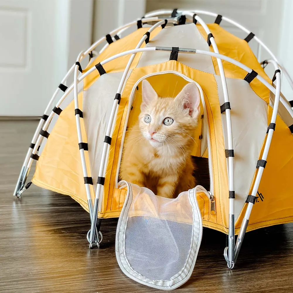Basecamp Dome Tent