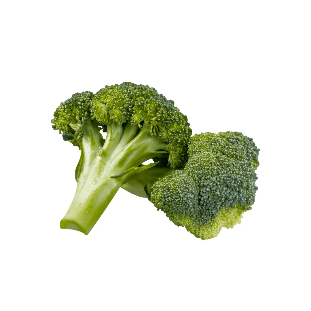 Broccoli Centennial Seeds | West Coast Seeds