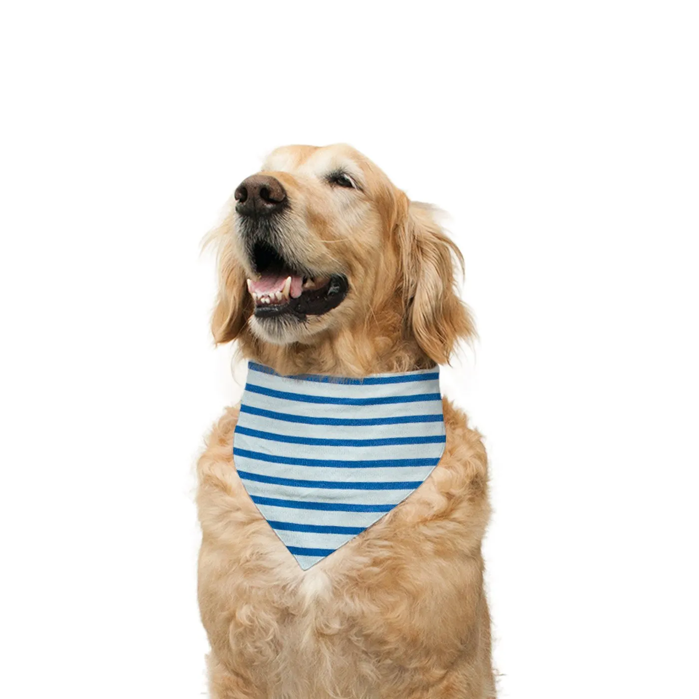 Chief Present Opener' Reversible Bandana for Dogs