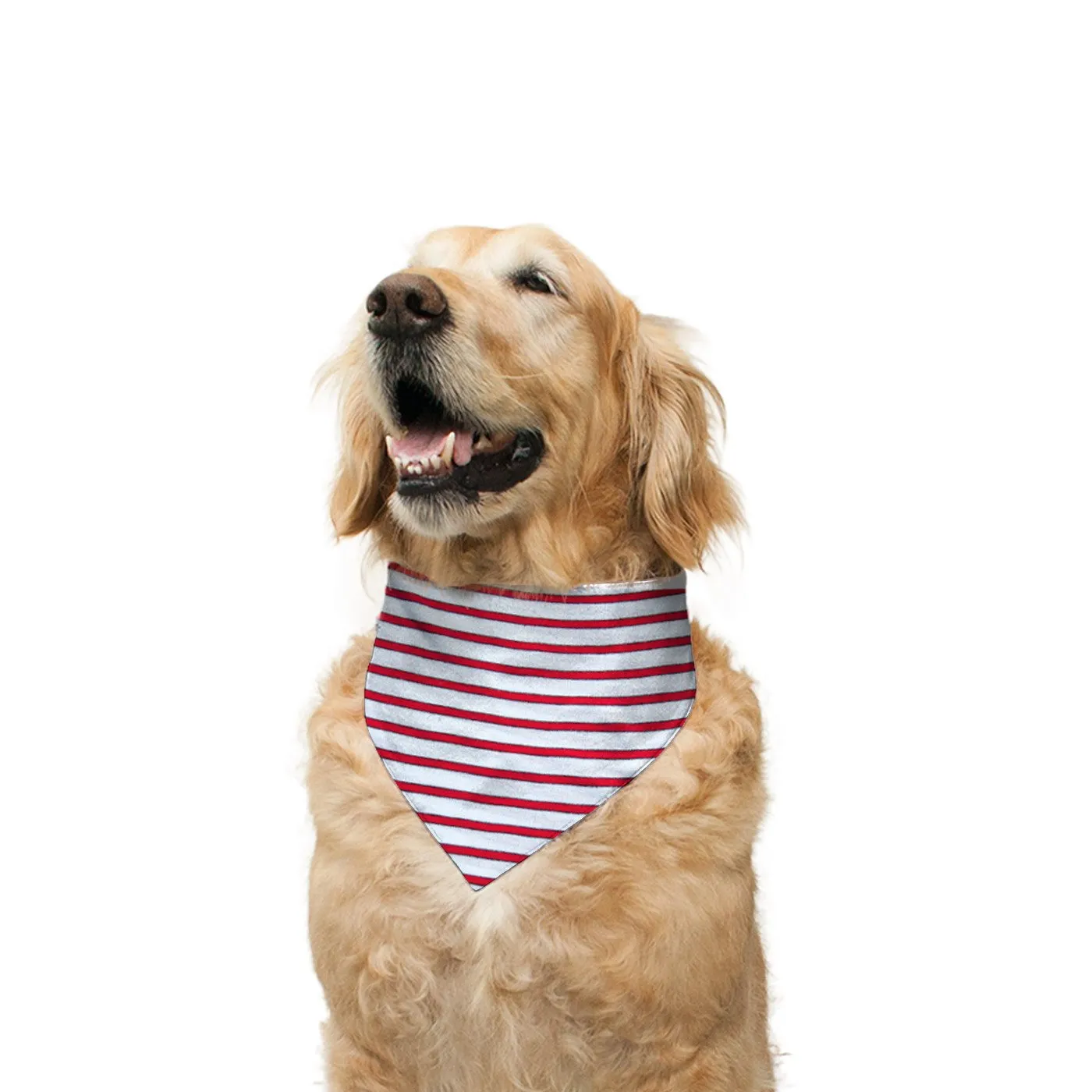 Chief Present Opener' Reversible Bandana for Dogs