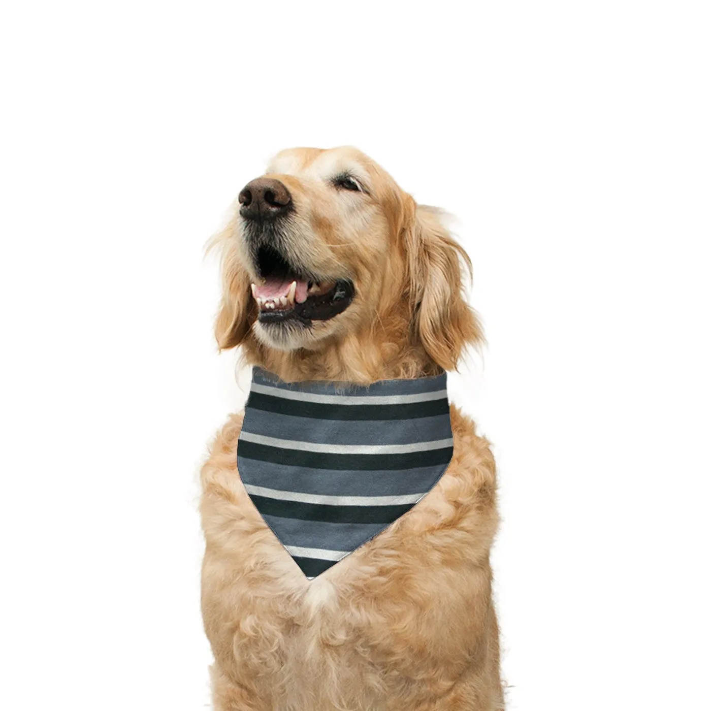 Chief Present Opener' Reversible Bandana for Dogs