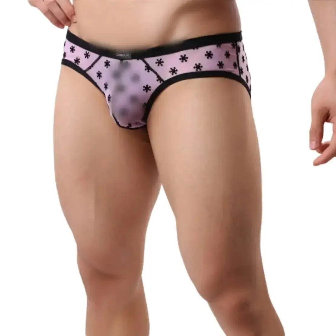 DomiGe Men's Lace Briefs Nylon Mesh Underwear Mid-Rise Lingerie