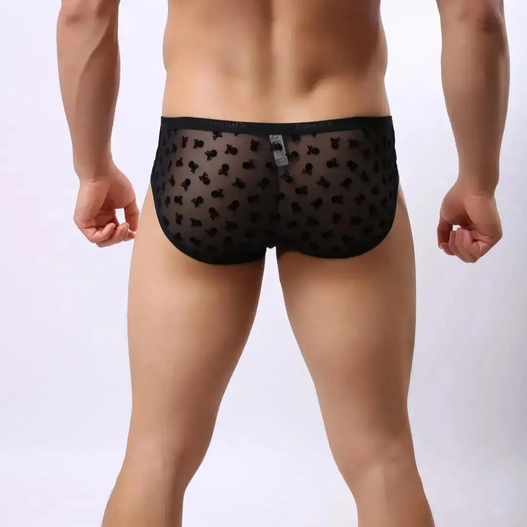 DomiGe Men's Lace Briefs Nylon Mesh Underwear Mid-Rise Lingerie