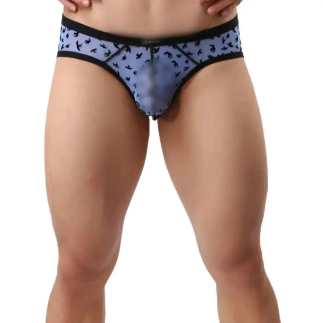 DomiGe Men's Lace Briefs Nylon Mesh Underwear Mid-Rise Lingerie