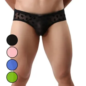 DomiGe Men's Lace Briefs Nylon Mesh Underwear Mid-Rise Lingerie
