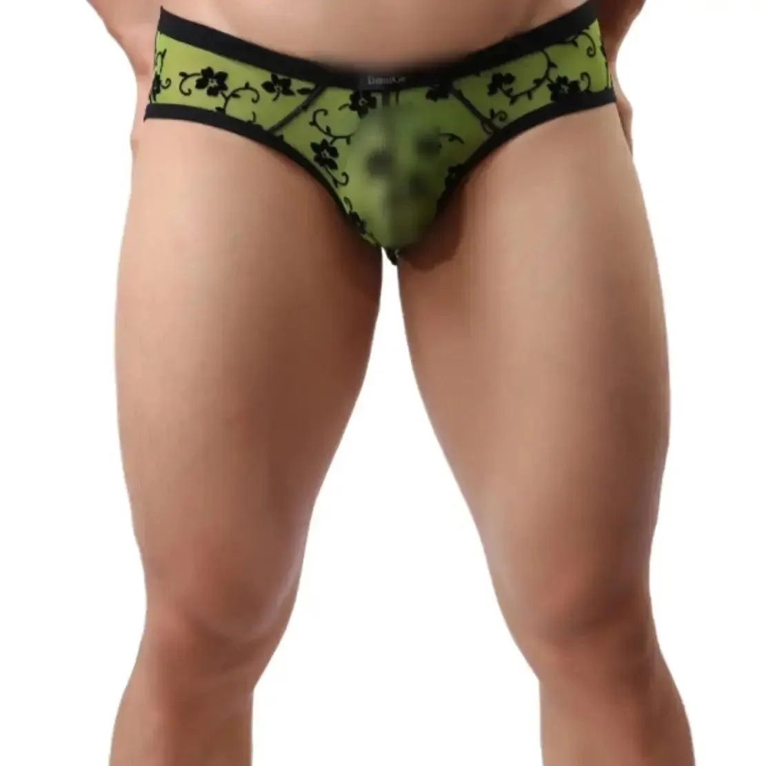 DomiGe Men's Lace Briefs Nylon Mesh Underwear Mid-Rise Lingerie
