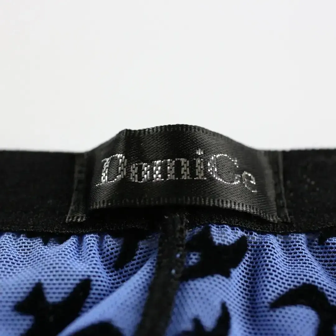 DomiGe Men's Lace Briefs Nylon Mesh Underwear Mid-Rise Lingerie