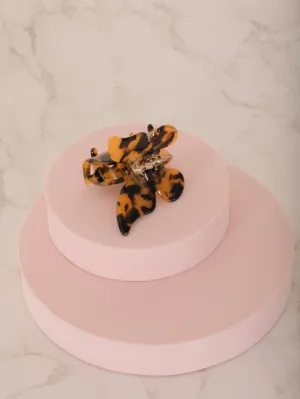 Flutter Clip