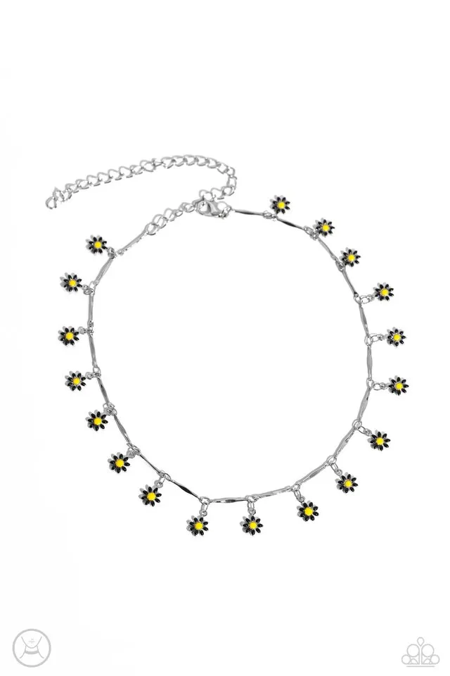 Paparazzi Necklace ~ Delicate Display - Black