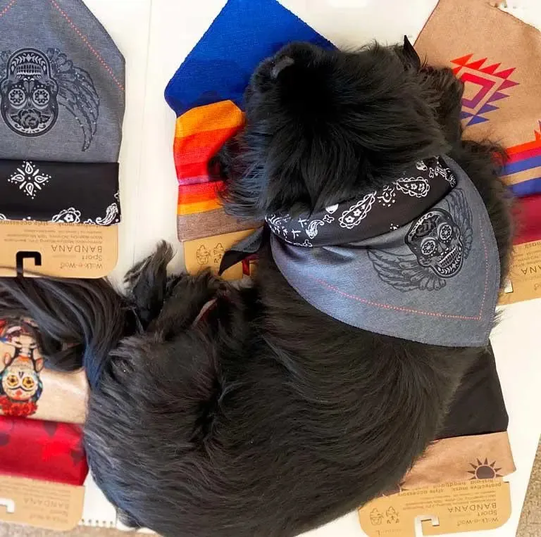 Sport Bandana