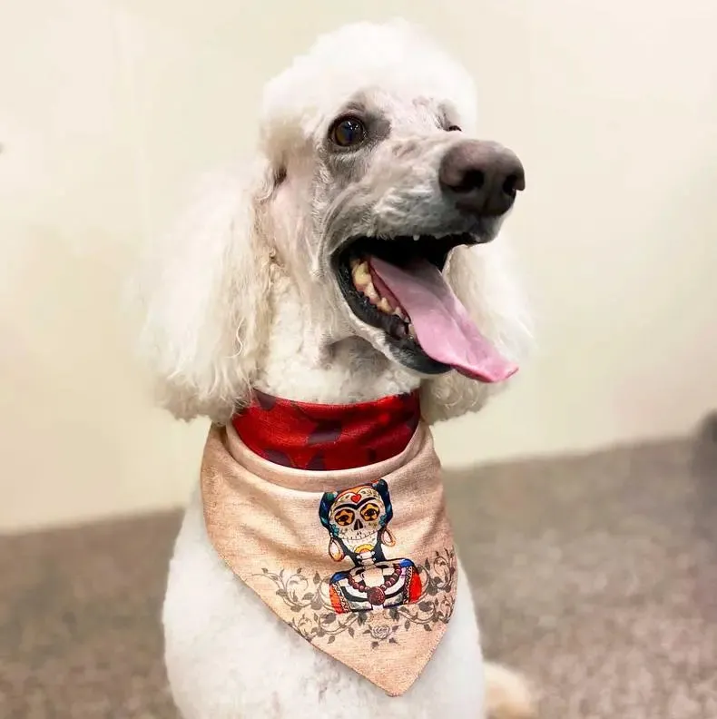 Sport Bandana