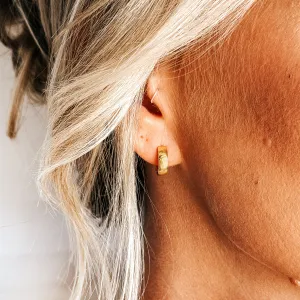 Tiny Wide Huggie Hoop Earrings
